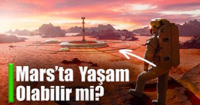 Mars'ta yasam mumkun mu ?