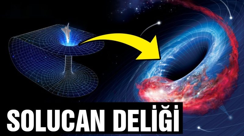 solculan-delikleri-hakkinda-bilgi