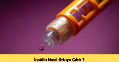 insulin-nasil-ortaya-cikti