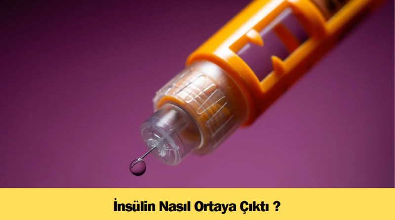 insulin-nasil-ortaya-cikti