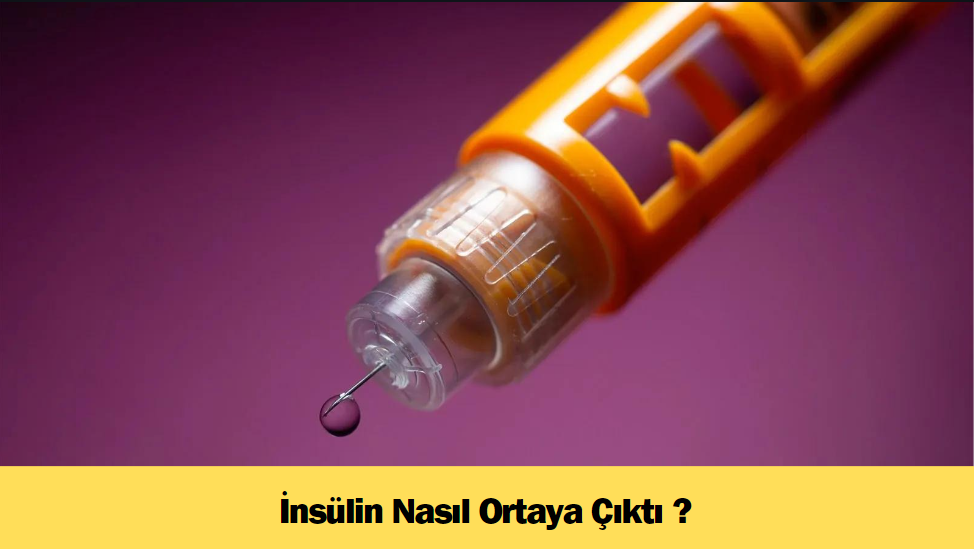 İnsülin Nasıl Ortaya Çıktı ?